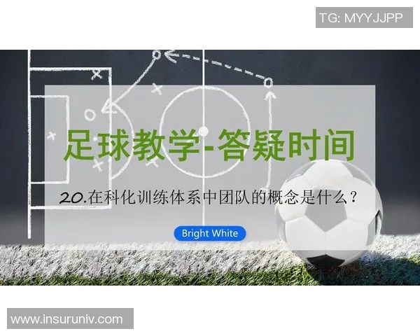 提升青少年足球技能的全面教学方法与实用技巧分享