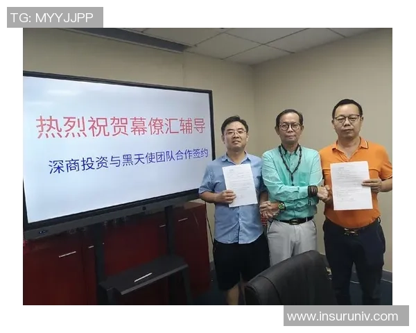 深圳羽毛球队的成功运营策略与发展模式深度分析