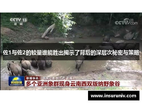 佐1与佐2的较量谁能胜出揭示了背后的深层次秘密与策略