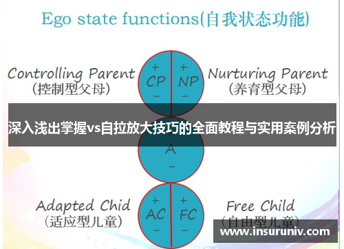 深入浅出掌握vs自拉放大技巧的全面教程与实用案例分析