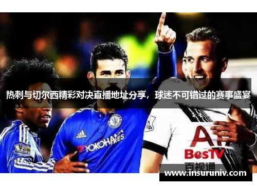 热刺与切尔西精彩对决直播地址分享，球迷不可错过的赛事盛宴