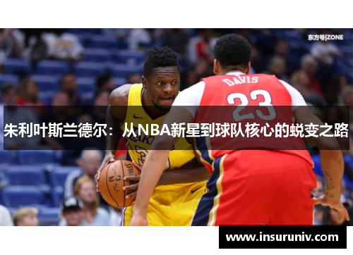 朱利叶斯兰德尔：从NBA新星到球队核心的蜕变之路
