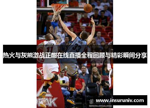 热火与灰熊激战正酣在线直播全程回顾与精彩瞬间分享